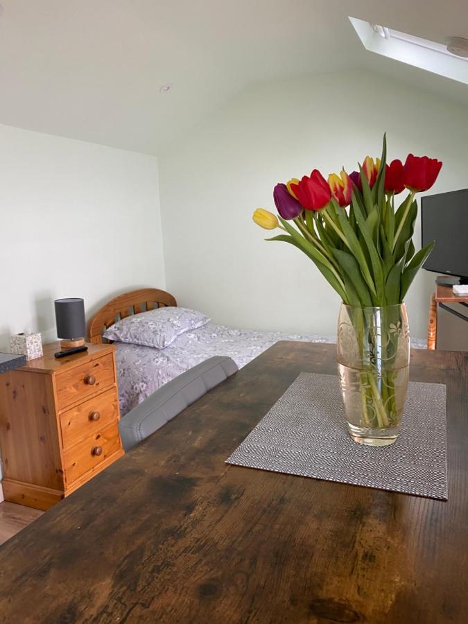 Cosy 1 Bed Garden Annexe Apartment Colchester Ngoại thất bức ảnh